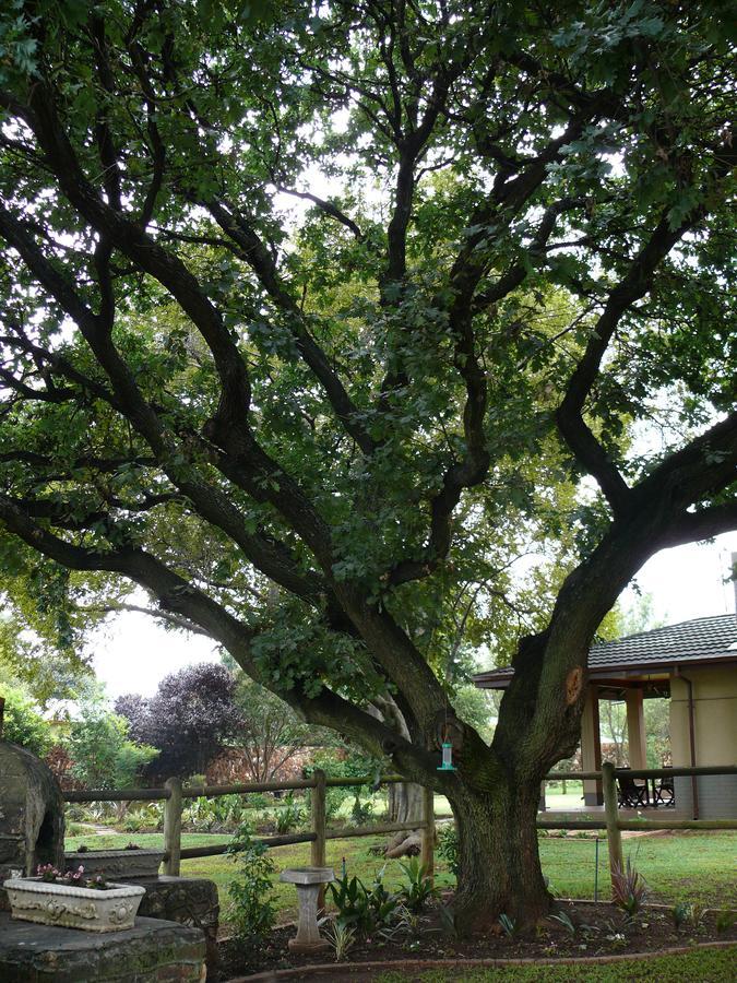 42Onking Bed & Breakfast Centurion Bagian luar foto